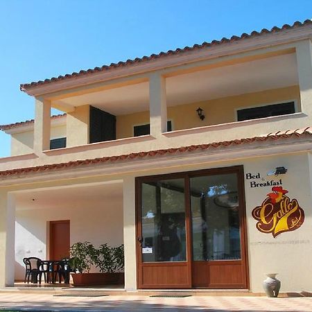 Hotel Gallo Spot San Teodoro  Exteriér fotografie
